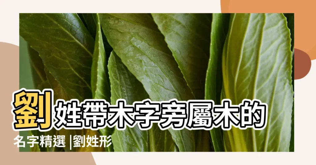 劉姓帶木字旁屬木的名字精選 |劉姓形容聰明才華橫溢的寶寶名字 |劉姓男孩起名大全2023屬兔寶寶 |【屬木的字大全劉寶寶】