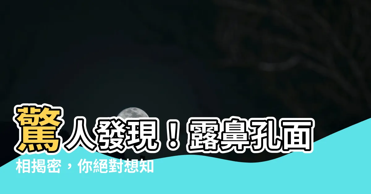【露鼻孔面相】驚人發現！露鼻孔面相揭密，你絕對想知道的秘密