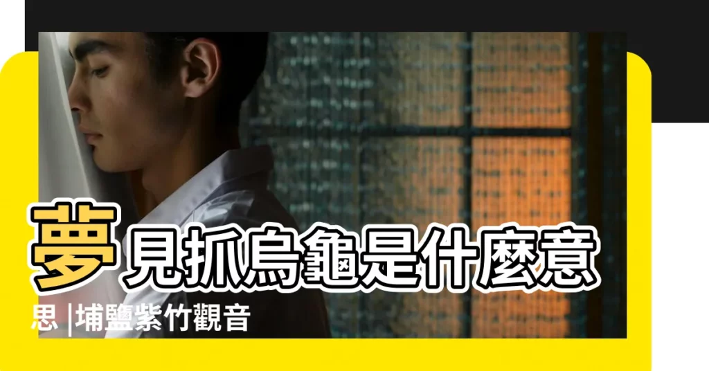 夢見抓烏龜是什麼意思 |埔鹽紫竹觀音宮 |做夢夢見烏龜好不好 |【做夢夢到把烏龜抓起來了是什麼意思】
