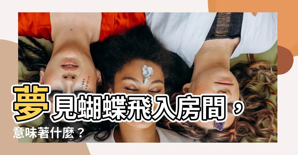 【夢見蝴蝶在房間】夢見蝴蝶飛入房間，意味著什麼？