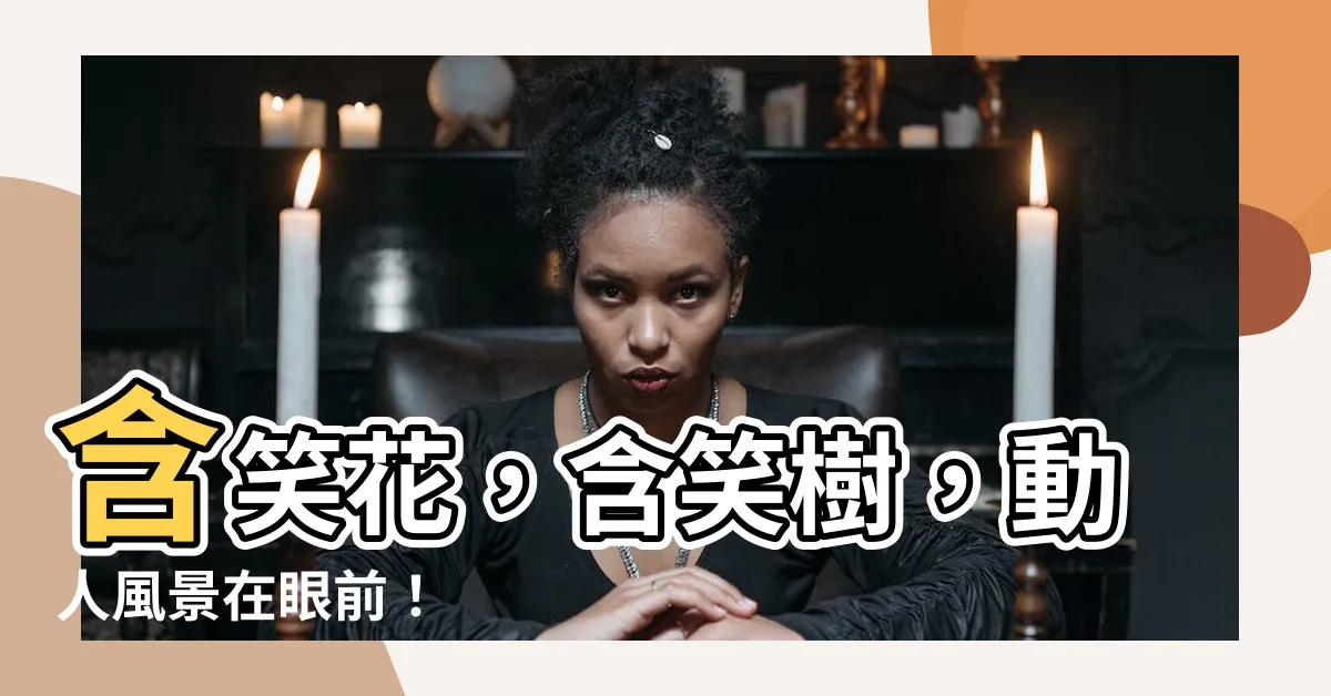 【含笑樹】含笑花，含笑樹，動人風景在眼前！