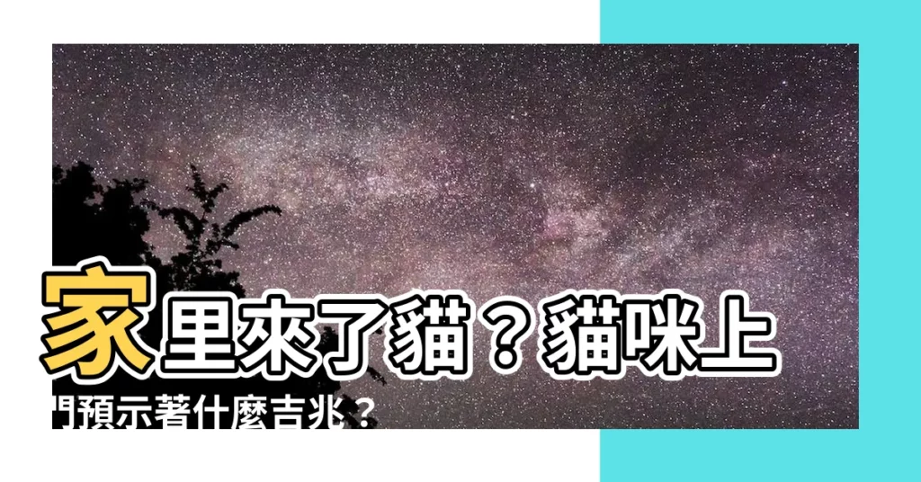 【家裏來貓】家裏來了貓？貓咪上門預示著什麼吉兆？
