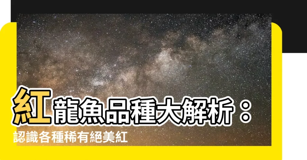 【紅龍品種】紅龍魚品種大解析：認識各種稀有絕美紅龍