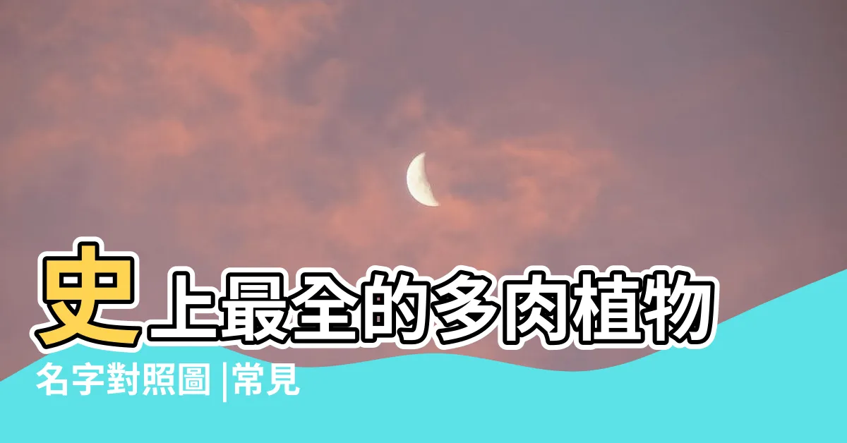 【多肉名稱查詢】史上最全的多肉植物名字對照圖 |常見品種 |喜歡多肉植物的朋友看過來 |