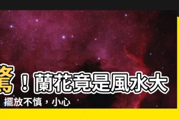 【蘭花風水】驚！蘭花竟是風水大忌！擺放不慎，小心招兇喪！