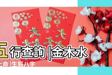 【五行和生辰八字】五行查詢 |金木水火土命 |生辰八字五行查詢 |