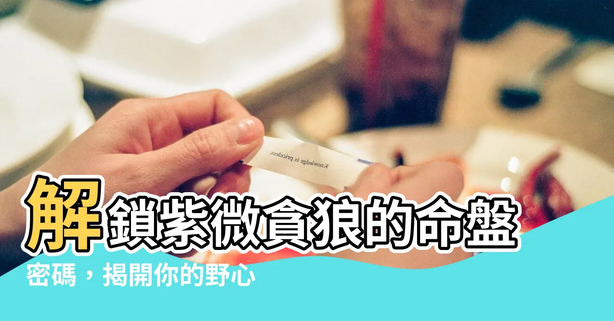 【紫微貪狼】解鎖紫微貪狼的命盤密碼，揭開你的野心與謀略