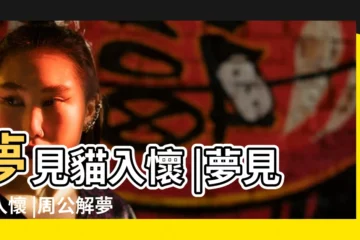 【周公解夢夢見貓入懷】夢見貓入懷 |夢見貓入懷 |周公解夢 |