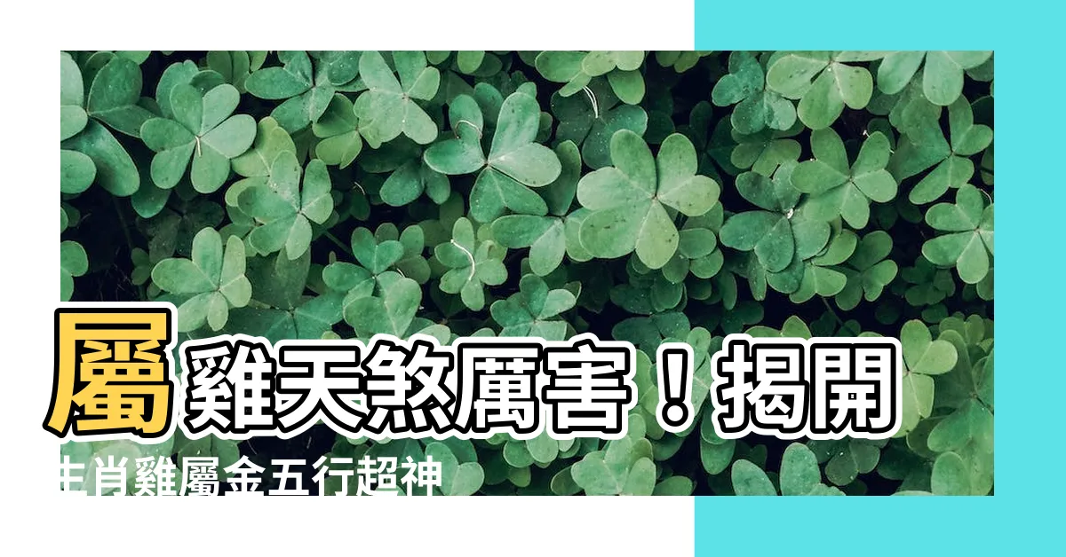 【雞屬金】屬雞天煞厲害！揭開生肖雞屬金五行超神秘命運