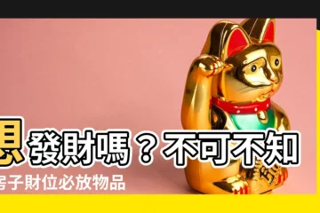 【房子財位要放什麼】想發財嗎？不可不知的房子財位必放物品