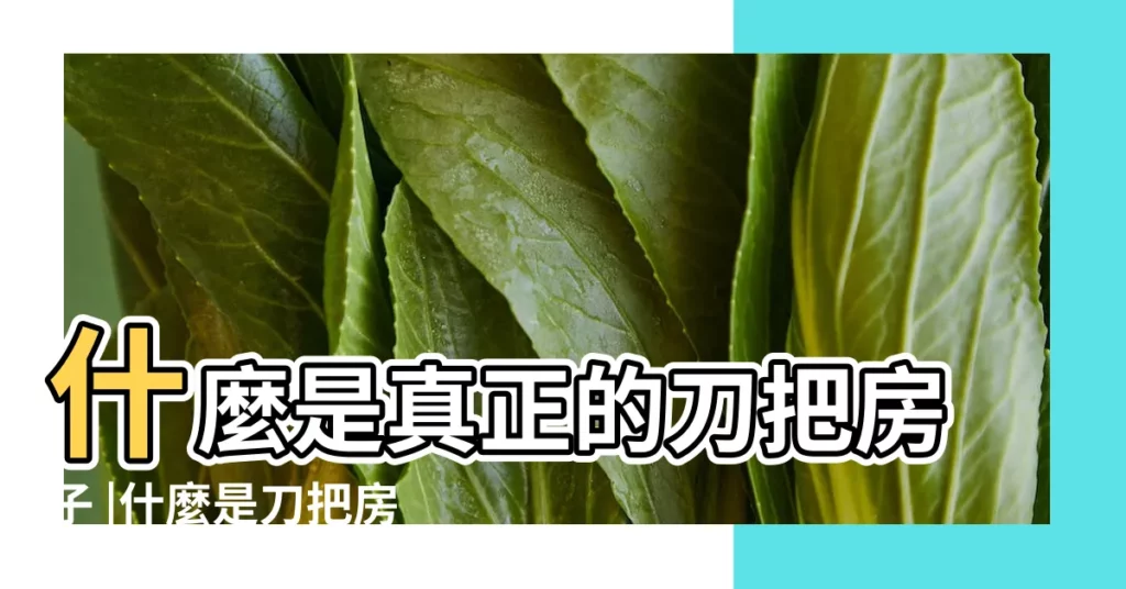 什麼是真正的刀把房子 |什麼是刀把房 |刀把户型適合哪些人住 |【刀把房】
