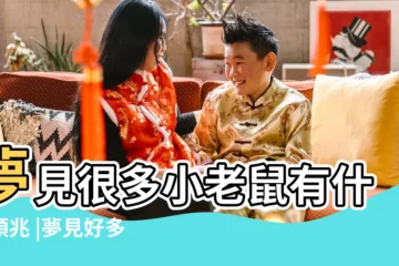【本命年夢見好多老鼠】夢見很多小老鼠有什麼預兆 |夢見好多老鼠是什麼意思預兆 |夢見很多大老鼠 |