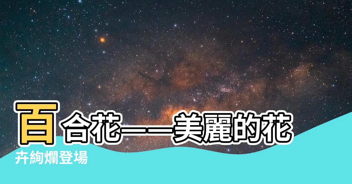 【百合花】百合花——美麗的花卉絢爛登場