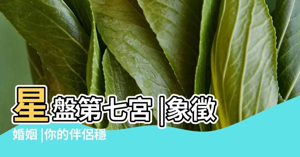 星盤第七宮 |象徵婚姻 |你的伴侶穩重又靠譜 |【夫妻宮宮主星土星落七宮】