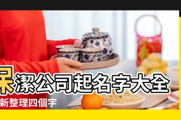【求保潔公司名字大全】保潔公司起名字大全 |最新整理四個字保潔公司名字大全 |保潔公司名字大全 |