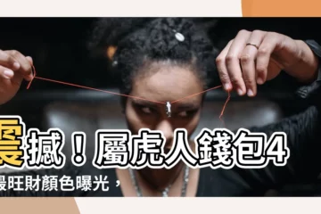 【屬虎錢包顏色】震撼！屬虎人錢包4大最旺財顏色曝光，財運瞬間翻倍