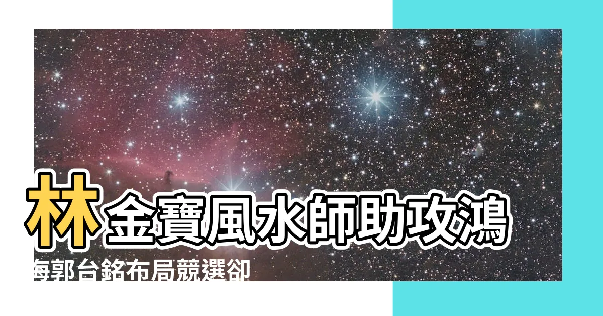 【林金寶風水師】林金寶風水師助攻鴻海郭台銘佈局競選卻撲空