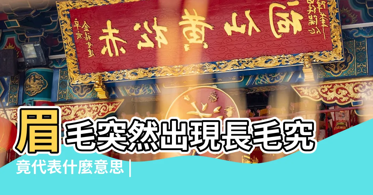【眉毛很長 面相】眉毛突然出現長毛究竟代表什麼意思 |7種眉毛長這樣 |一生財運爆棚 |
