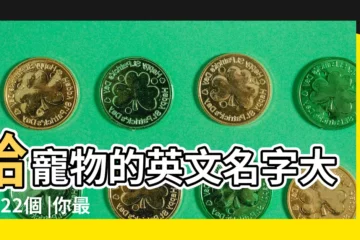 【適合寵物的英文名字】給寵物的英文名字大全122個 |你最愛給寵物起啥英文名字 |TOP10揭曉了 |