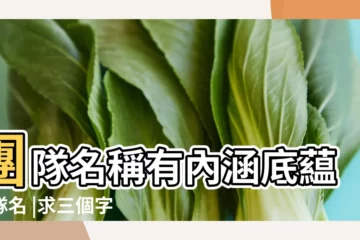 【關於工作的3個字的隊名】團隊名稱有內涵底藴的隊名 |求三個字戰隊名字大全要霸氣 |團隊名稱大全 |
