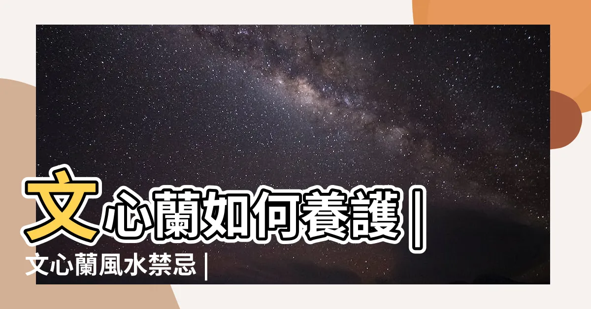 【文心蘭風水】文心蘭如何養護 |文心蘭風水禁忌 |文心蘭風水禁忌 |