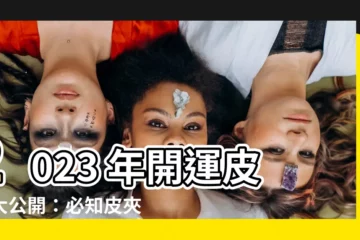【2023皮夾顏色】2023 年開運皮夾大公開：必知皮夾顏色招財秘密！
