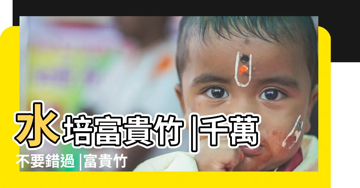 【富貴竹水耕】水培富貴竹 |千萬不要錯過 |富貴竹的水培大全 |