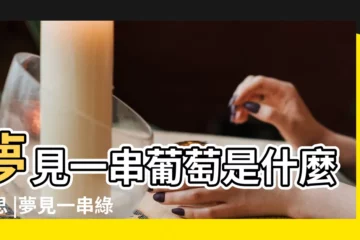 【孕婦夢見一串串的葡萄】夢見一串葡萄是什麼意思 |夢見一串綠葡萄 |夢見一串葡萄 |