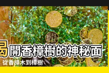 【香樟樹】揭開香樟樹的神秘面紗：從香樟木到樟樹奇觀