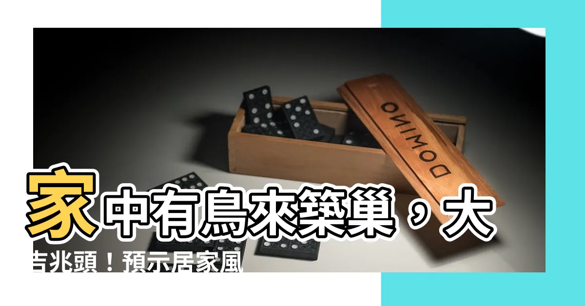 【家中有鳥來築巢】家中有鳥來築巢，大吉兆頭！預示居家風水好運、財運滾滾來