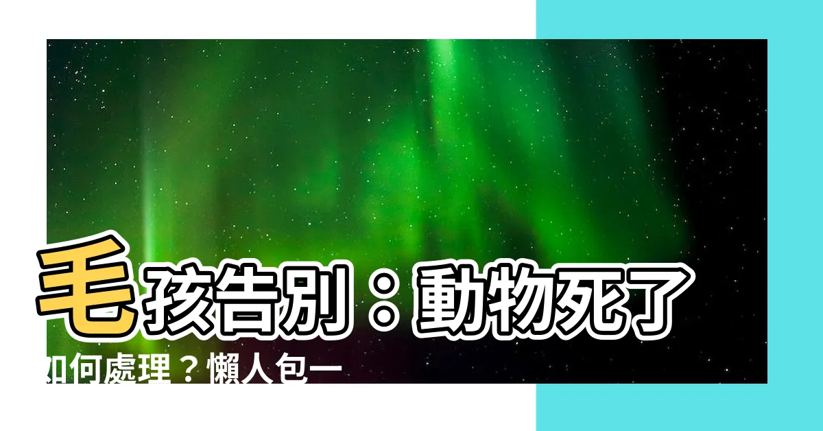 【動物死了如何處理】毛孩告別：動物死了如何處理？懶人包一看就懂！