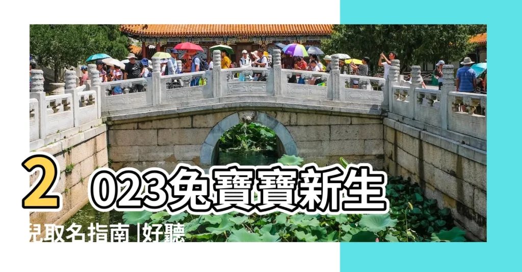 2023兔寶寶新生兒取名指南 |好聽實用 |如何為新生兒取名 |【新生嬰兒取什麼名字好】