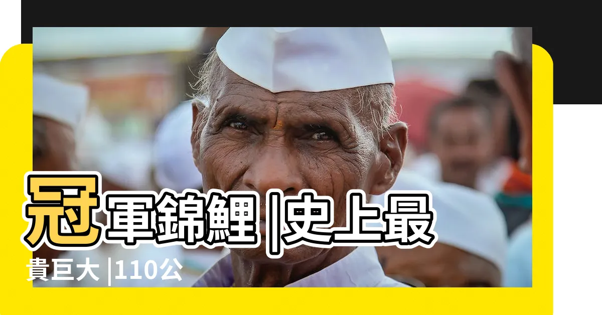 【錦鯉】冠軍錦鯉 |史上最貴巨大 |110公分 |