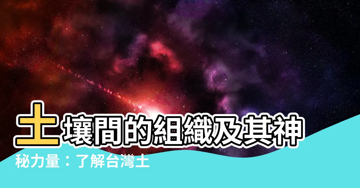 【土壟間意思】土壤間的組織及其神秘力量：瞭解台灣土壤文化的奧秘