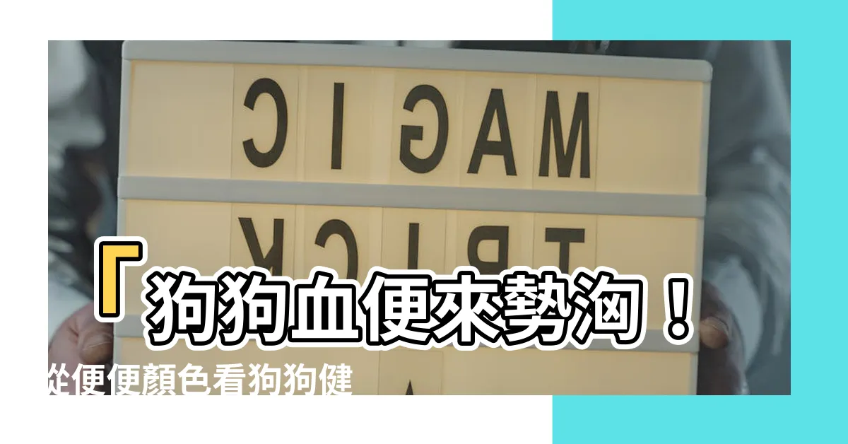 【狗狗血便顏色】「狗狗血便來勢洶！從便便顏色看狗狗健康，一張圖秒懂！」