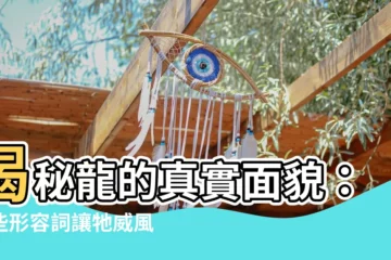 【龍 形容詞】揭秘龍的真實面貌：這些形容詞讓牠威風凜凜！