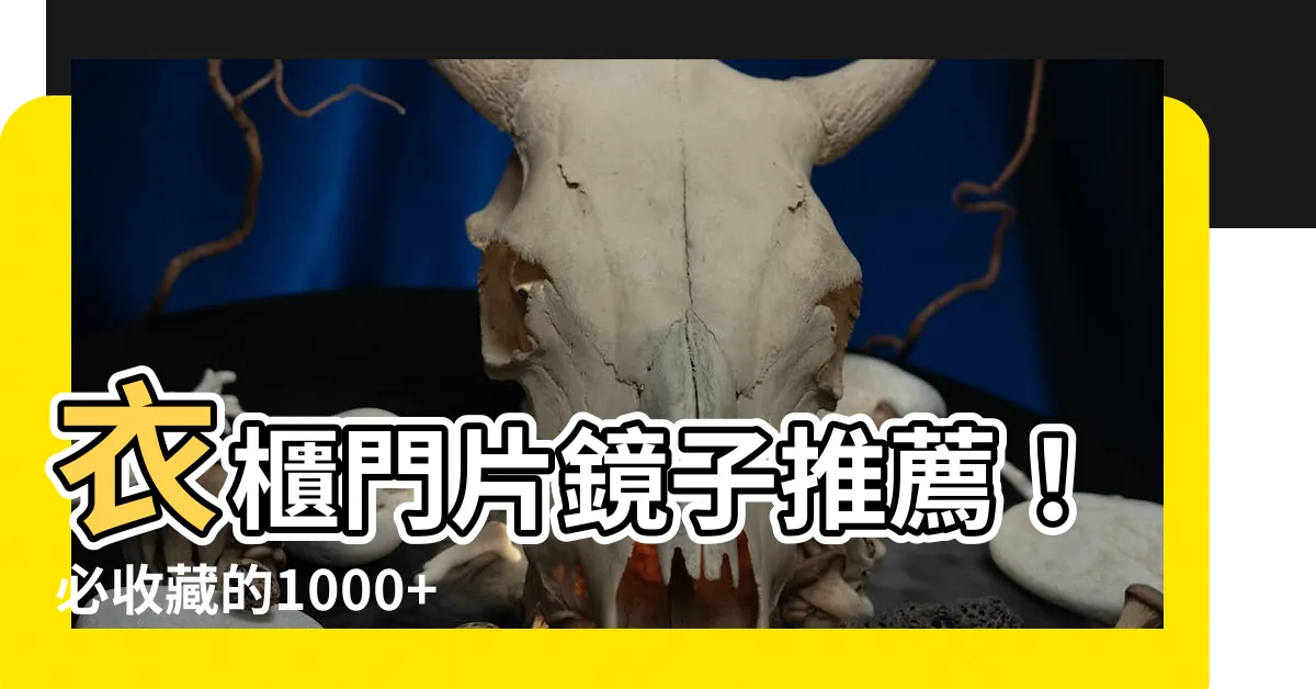 【衣櫃門片鏡子】衣櫃門片鏡子推薦！必收藏的1000+款式，打造時尚衣帽間