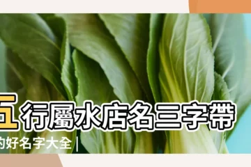 【五行帶水的飯店名字】五行屬水店名三字帶水的好名字大全 |帶水的店鋪名字五行屬金水的店鋪名字 |五行帶水的飯店名字 |