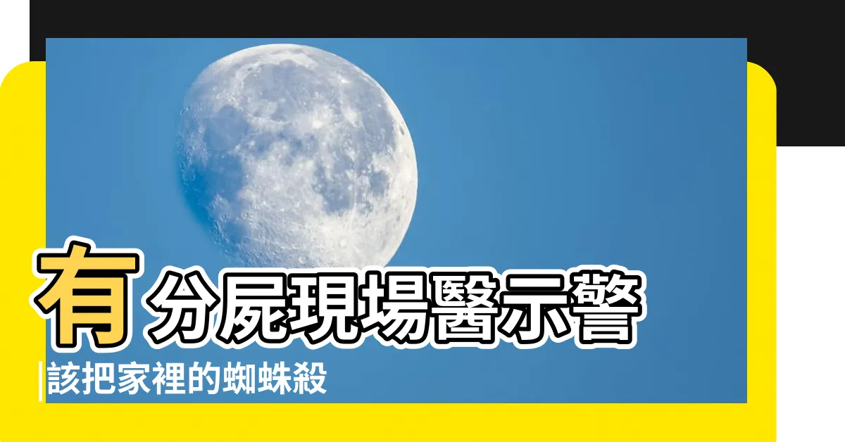 【家裡出現蜘蛛】有分屍現場醫示警 |該把家裡的蜘蛛殺掉嗎 |家中出現1生物 |