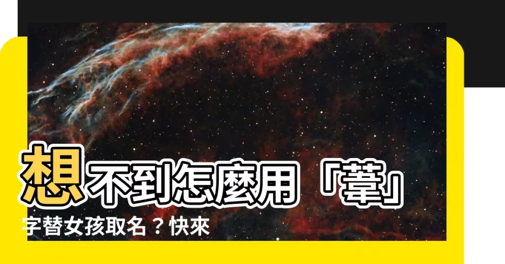 【葦名字意思】想不到怎麼用「葦」字替女孩取名？快來看看這些美麗的寓意！