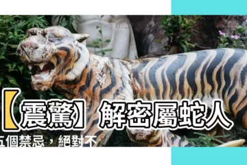 【屬蛇的禁忌】【震驚】解密屬蛇人的五個禁忌，絕對不能錯過！