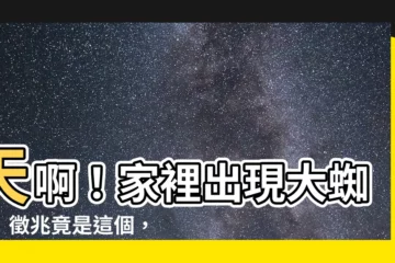 【家裏出現大蜘蛛】天啊！家裡出現大蜘蛛！徵兆竟是這個，讓你嚇到趕快請清潔公司
