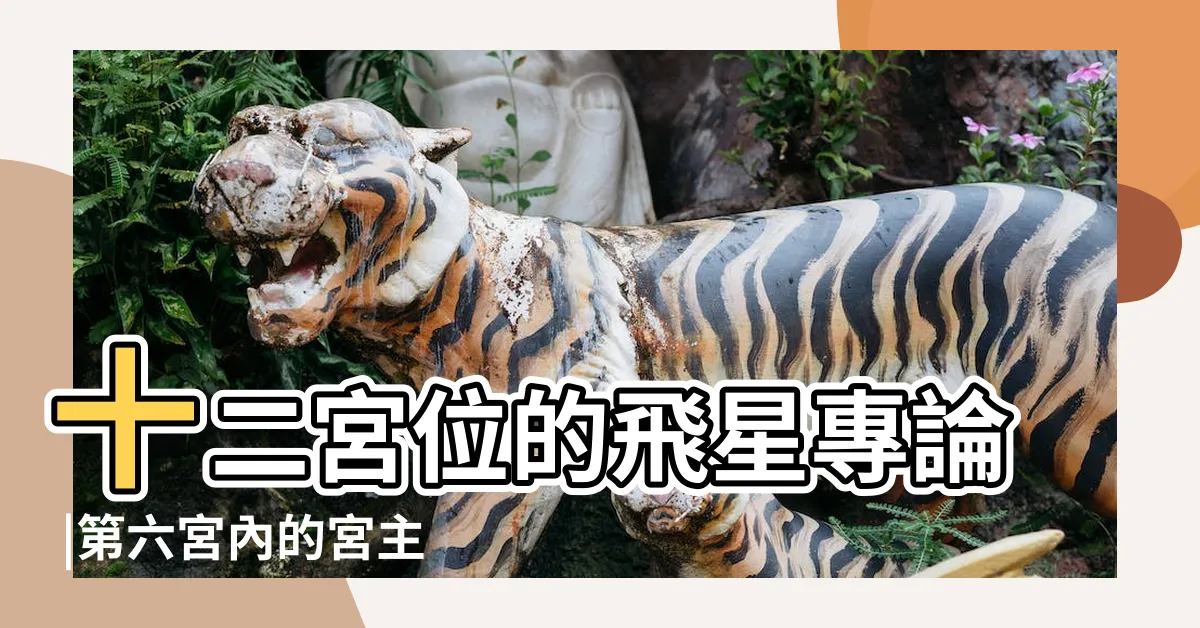 【6宮飛6宮】十二宮位的飛星專論 |第六宮內的宮主星 |第六宮的宮主星 |
