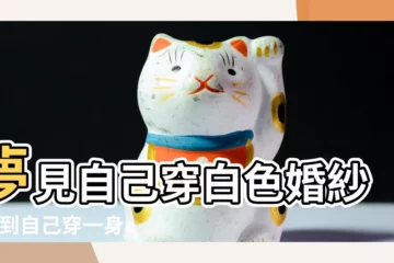 【做夢自己穿一身白禮服】夢見自己穿白色婚紗 |夢到自己穿一身白 |夢見自己穿一身白婚紗是什麼意思 |