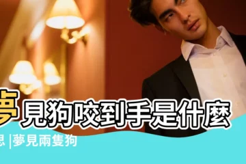 【夢見兩隻小狗咬我手腳】夢見狗咬到手是什麼意思 |夢見兩隻狗要咬我 |夢見兩隻狗咬我 |