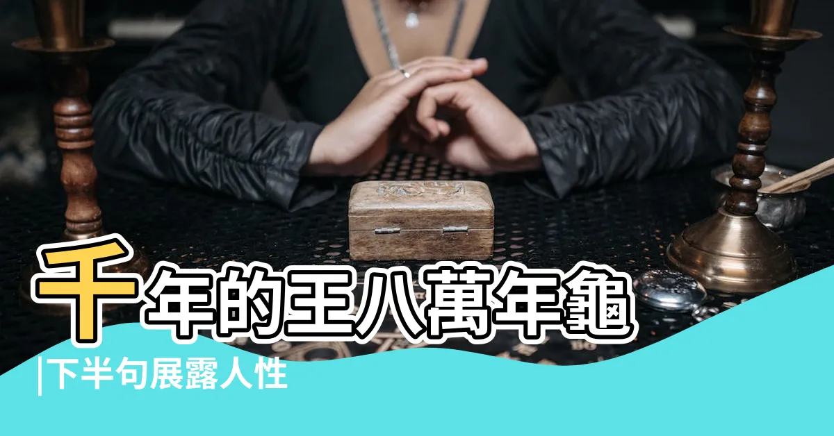 【千年王八萬年龜】千年的王八萬年龜 |下半句展露人性 |下半句超經典 |