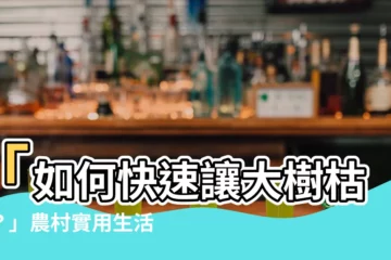 【如何讓大樹枯死】「如何快速讓大樹枯死？」農村實用生活中不動土的7種方法