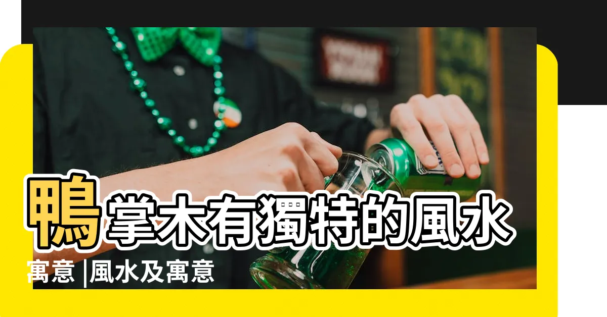 【鴨掌木風水】鴨掌木有獨特的風水寓意 |風水及寓意 |應該放在這些地 |