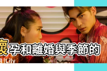 【2019年12月26訂婚】懷孕和離婚與季節的作用 |Lily |男友聖誕訂婚 |