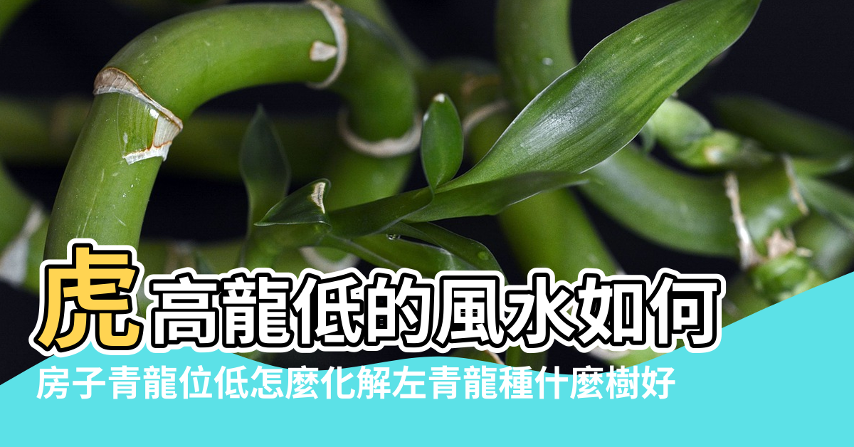 【青龍位低的風水化解】虎高龍低的風水如何 |房子青龍位低怎麼化解左青龍種什麼樹好 |佈局正位無傷災 |